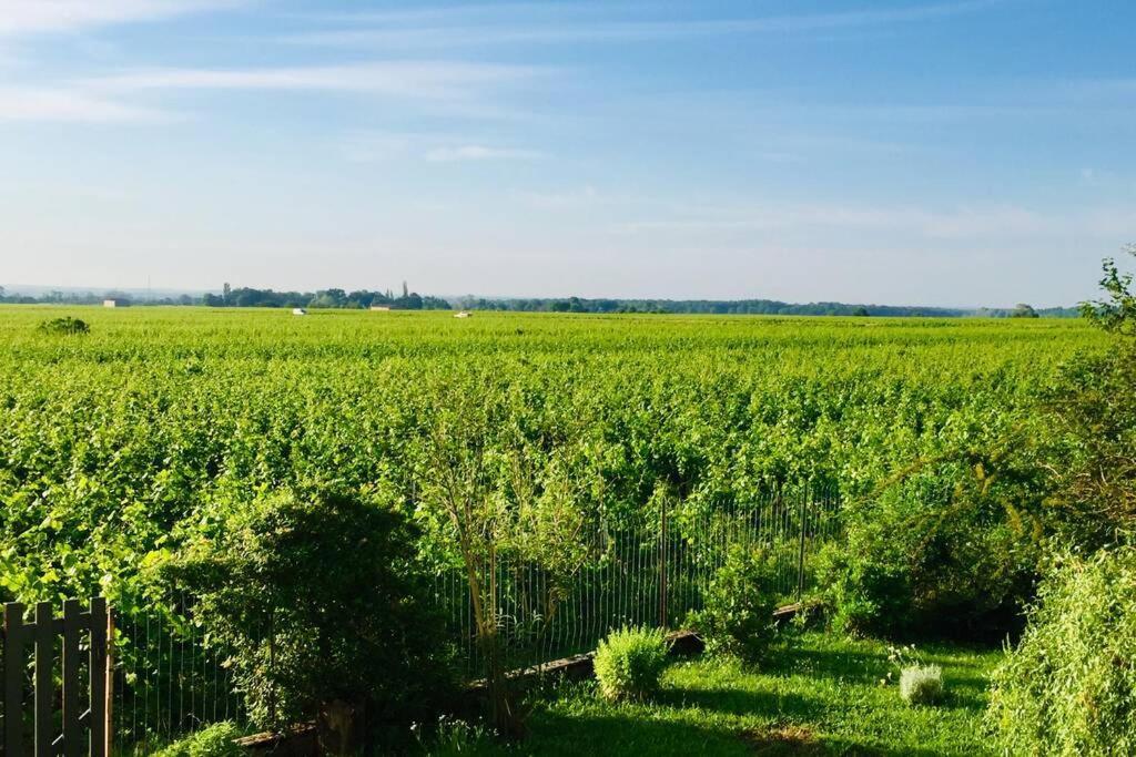 Appartement Avec Vue Sur Les Vignes A Gevrey Luaran gambar